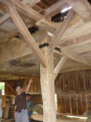 Image of modest repair made by Trillium Dell Timberworks at the 2010 Kansas Barn Aliance/ NBA conference