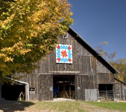 Epperson Barn and LeMoyne with Swallows