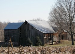 This week in barns_pic 1