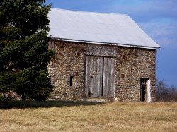 This week in barns_pic 2